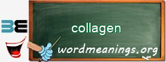 WordMeaning blackboard for collagen